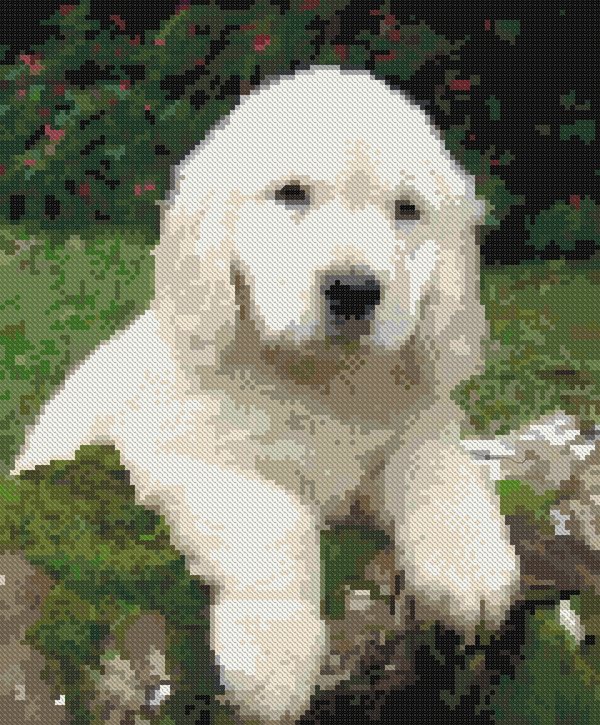 The same puppy turned into a stitched cross stitch pattern